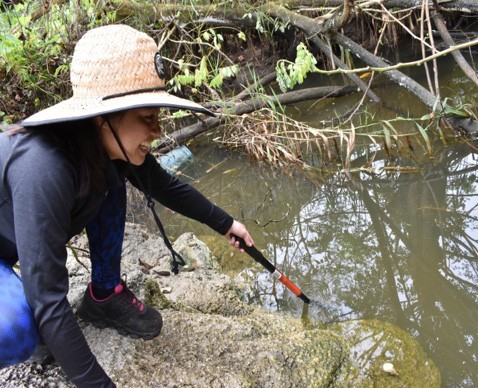 Sampling of water in the Agana Spring area and soils near a wastewater pump station were collected by WERI to source potential sites of perfluorooctanesulfonic acid (PFOS).